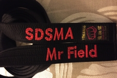 Last Belt Ill ever wear, my gorgeous Tokaido belt all the way from Japan
