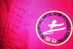 The Club Badge