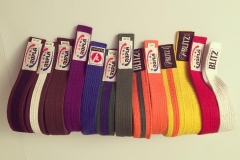 All the belts worn before the last one Ill ever wear came along