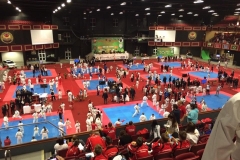 WUKF world champs, Dublin 2016