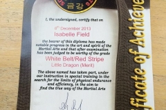 Izzy first ever grading