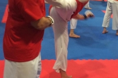 not known for my kicking, this one went above waist  height though